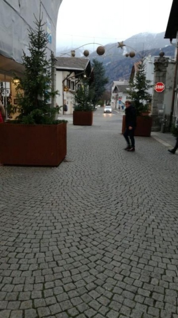euroform w - Stadtmobiliar - große Pflanzschale aus Metall auf Dorfplatz - riesige Pflanzschale mit Blumen und Baum in urbanem Raum - Pflanzschale aus Cortenstahl