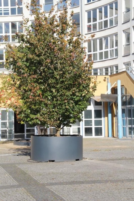 euroform w - sustainable street furniture - park bench wood - modular bench in the city centre of Berlin - big planter with bench in urban environment - sustainable seating for open space