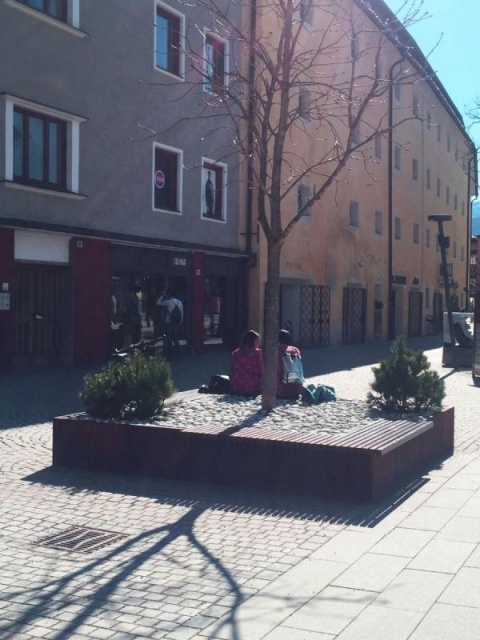 euroform w - Stadtmobiliar - robuste Bank aus hochwertigem Holz für den städtischen Raum mit Planzschale - minimalistischer Sitzgelegenheit aus Holz für draußen - hochwertige Designer Stadtmöbel - Menschen sitzen auf Bank aus Hartholz mit Baum in Mitte