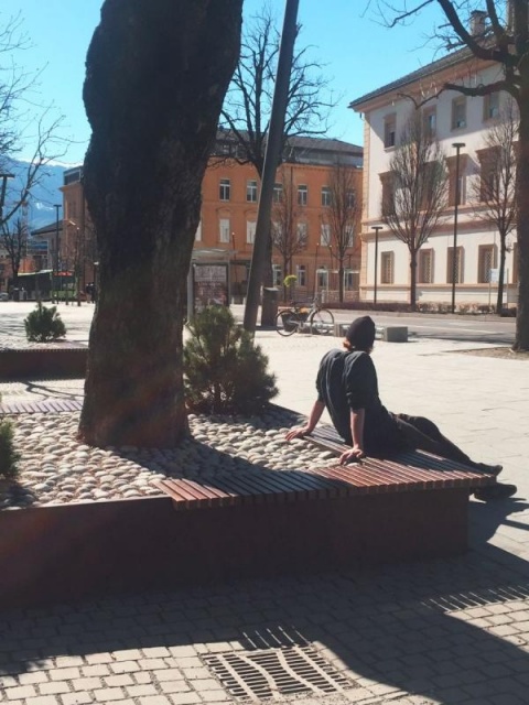 euroform w - street furniture - robust bench made of high quality wood for urban space with planar - minimalist wooden seating for outdoors - high quality designer street furniture - people sit on bench made of hardwood with tree in centre for public park