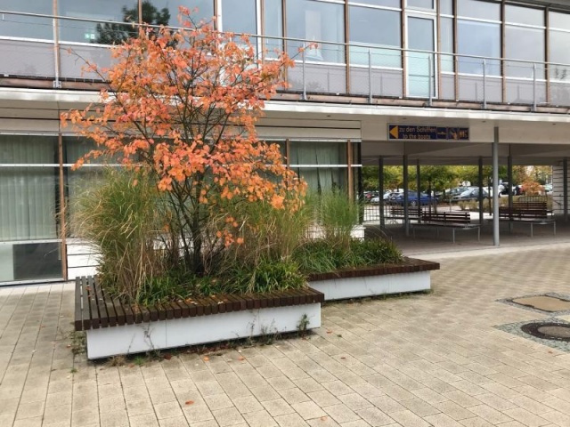 euroform w - Stadtmobiliar - robuste Bank aus hochwertigem Holz für den städtischen Raum mit Planzschale - minimalistischer Sitzgelegenheit aus Holz für draußen - hochwertige Designer Stadtmöbel - Bank aus Hartholz mit Baum in Mitte für öffentliche Parks 