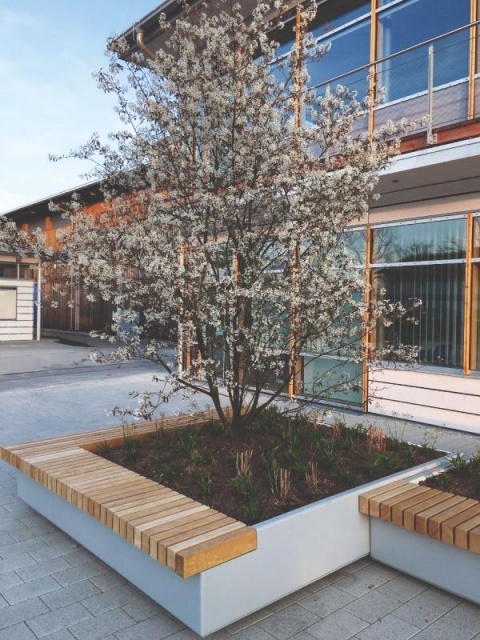 euroform w - Stadtmobiliar - robuste Bank aus hochwertigem Holz für den städtischen Raum mit Planzschale - minimalistischer Sitzgelegenheit aus Holz für draußen - hochwertige Designer Stadtmöbel - Bank aus Hartholz mit Baum in Mitte für öffentliche Parks 