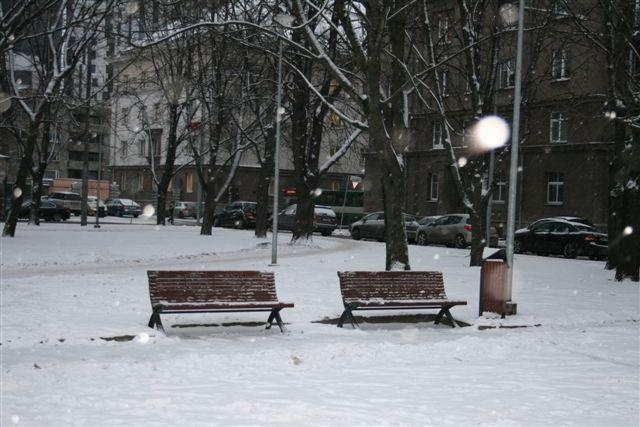 euroform w - street furniture - robust bench made of high-quality wood for urban spaces - minimalist wooden seating for outdoors - high-quality designer street furniture - Palazzo hardwood park bench and cast iron