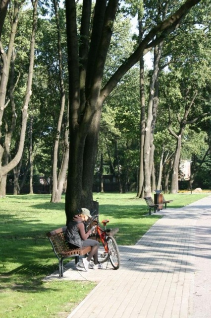 euroform w - street furniture - robust bench made of high-quality wood for urban spaces - minimalist wooden seating for outdoors - high-quality designer street furniture - Contour wooden bench