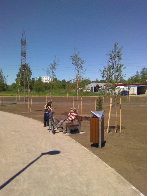 euroform w - street furniture - robust minimalist litter bin made of high quality steel and hardwood for urban open spaces - Scala litter bin in public park in city centre 