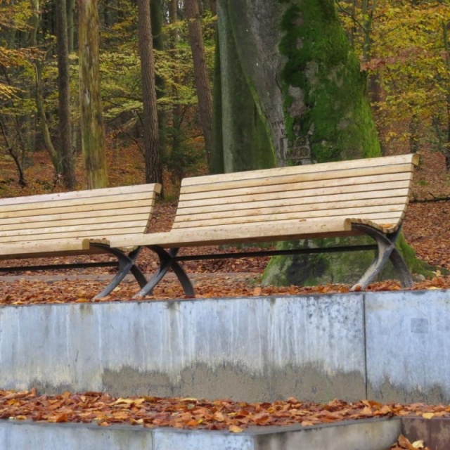 euroform w - urban furniture - benches in public park in the Netherlands  - wooden seatings for outdoors - Palazzo