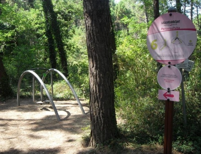 euroform w - Norwell - attrezzature fitness per esterno  - attrezzature sport per spazi pubblici - palestra outdoor Cervia - outdoor gym in parco pubblico - gente si allena in parco fitness all