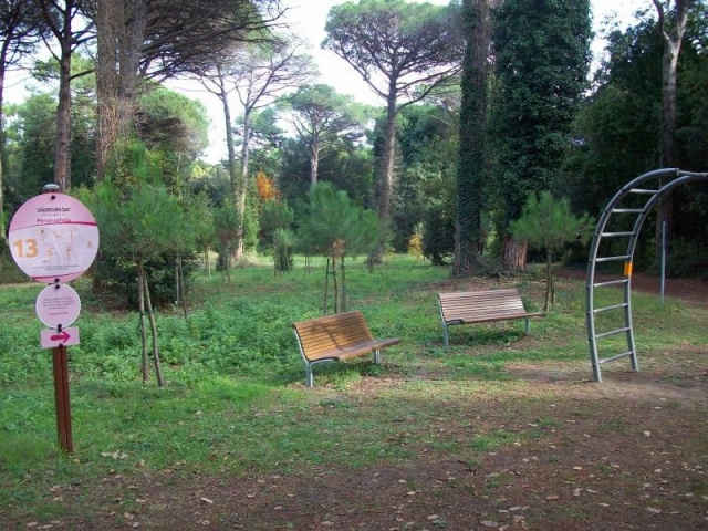 euroform w - Norwell - attrezzature fitness per esterno  - attrezzature sport per spazi pubblici - palestra outdoor Cervia - outdoor gym in parco pubblico - gente si allena in parco fitness all