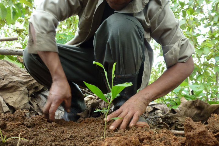 Tropical Mix: Eine Erfolgsgeschichte aus 30 Jahren Wald, Wandel und Wirkung
