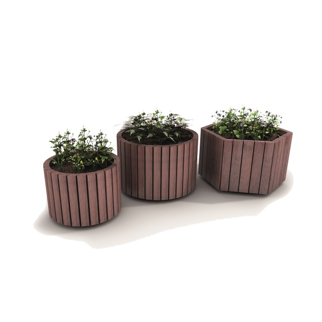 Cascara planter