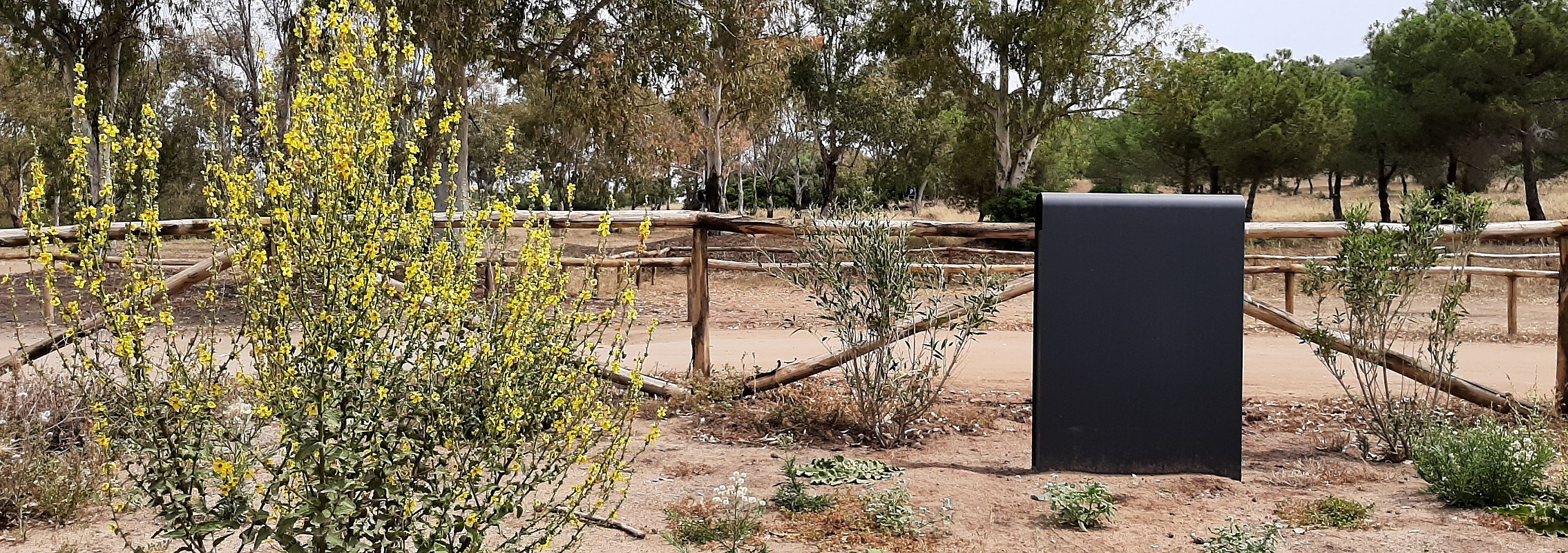 euroform w - urban furniture - litter bins - waste separation - Band Eco