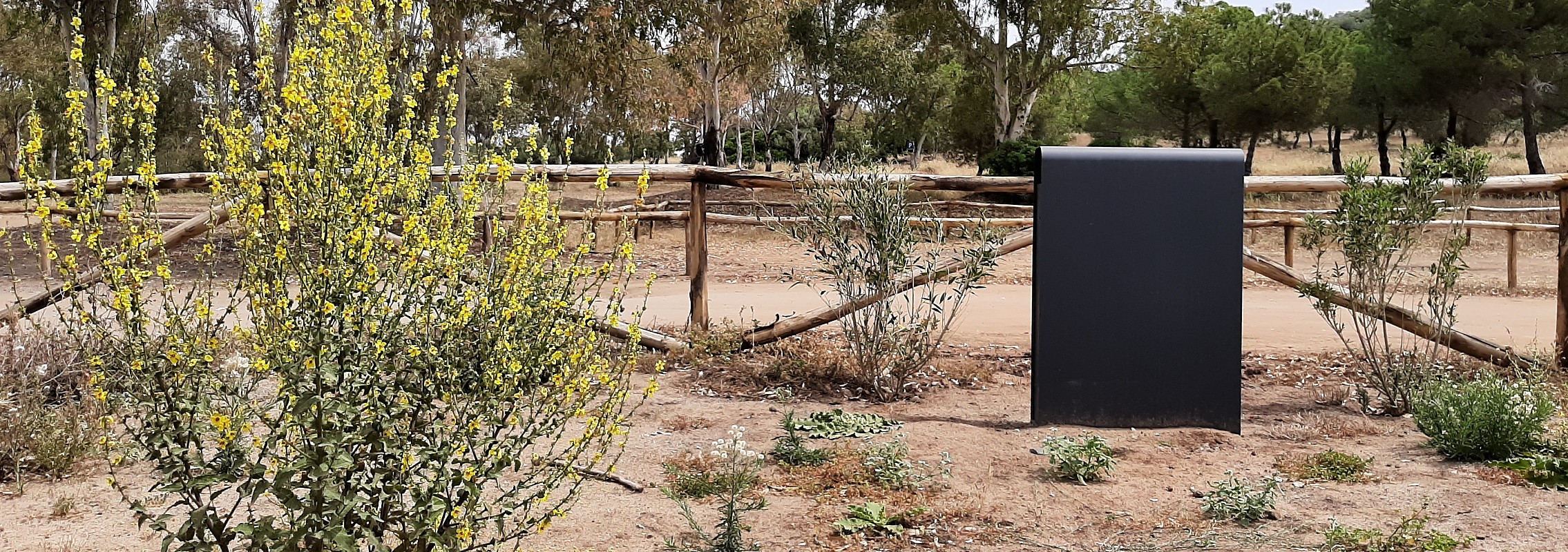 euroform w - arredo urbano - cestini portarifiuti - contenitori - Band - cestini pubblicità