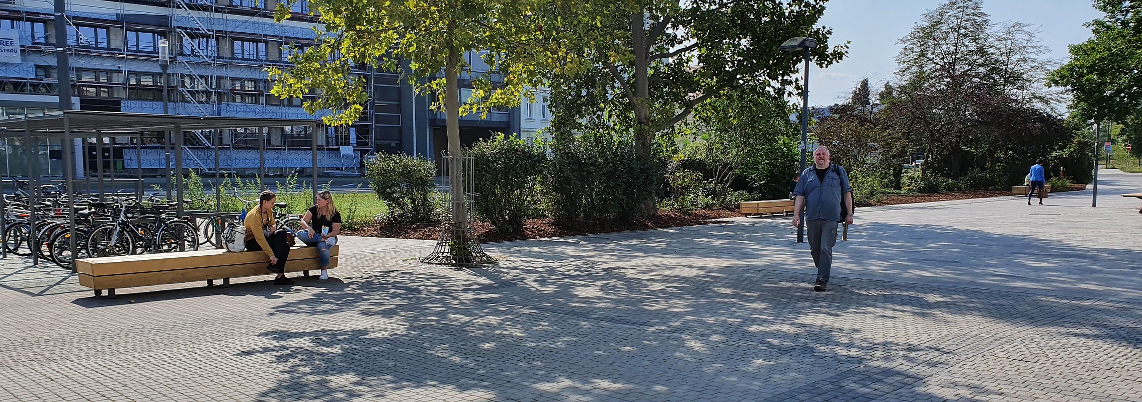 euroform w - Stadtmobiliar - lounger - Sitzbank Holz - modulare Bank - Isola