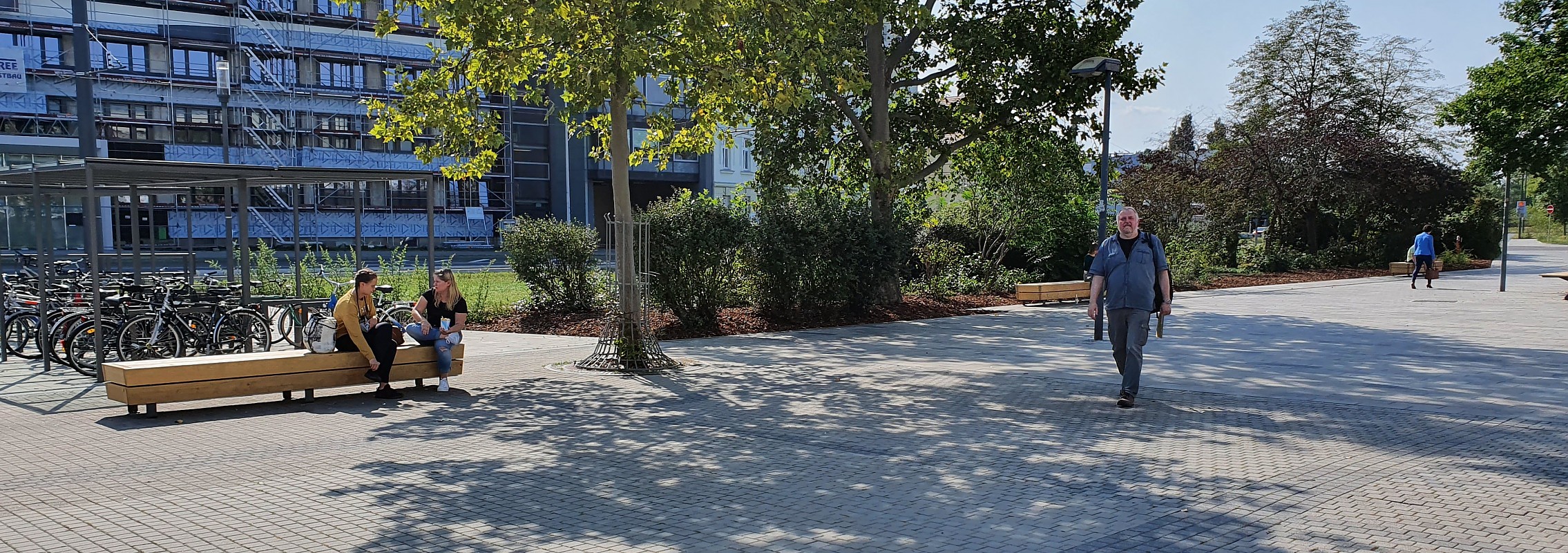 euroform w - Stadtmobiliar - Sitzbank Holz - lounger - modulare Bank - Isola