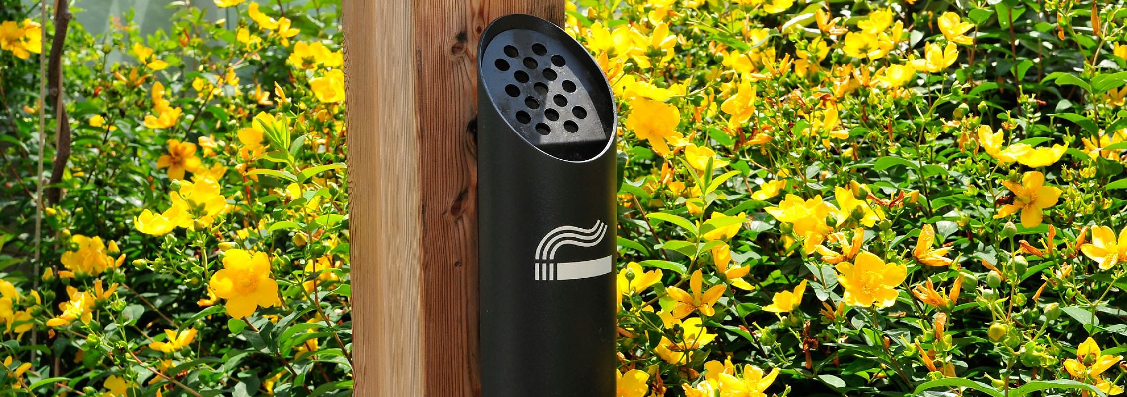 euroform w - arredo urbano - getta sigarette - Fumée