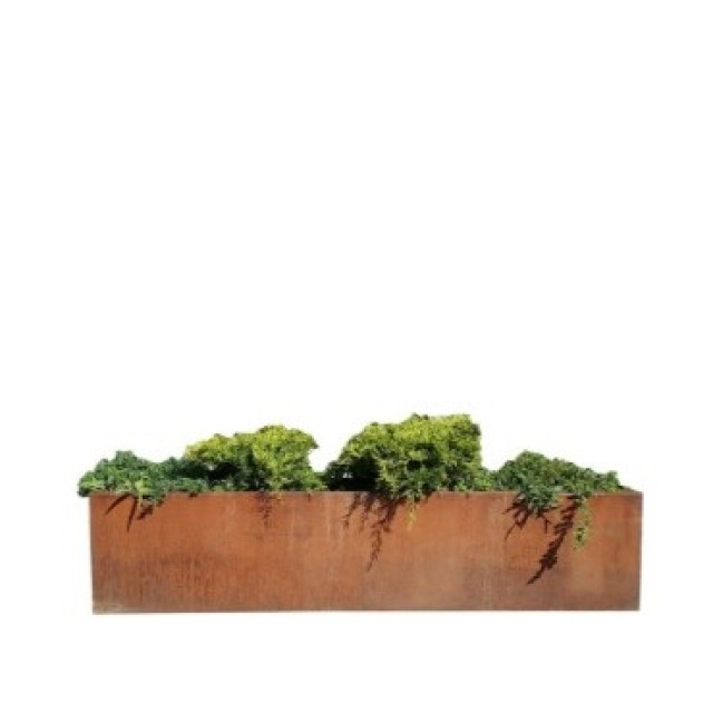 Vipiteno planter